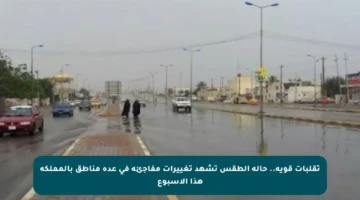 تقلبات قوية.. حالة الطقس تشهد تغييرات مفاجئة في عدة مناطق بالمملكة هذا الأسبوع